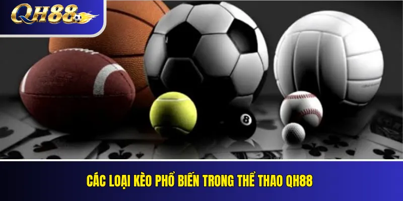 Thể Thao QH88 – Loại Kèo, Quy Tắc Và Cách Đọc Giao Diện 2026 3 Các loại kèo phổ biến trong Thể thao QH88