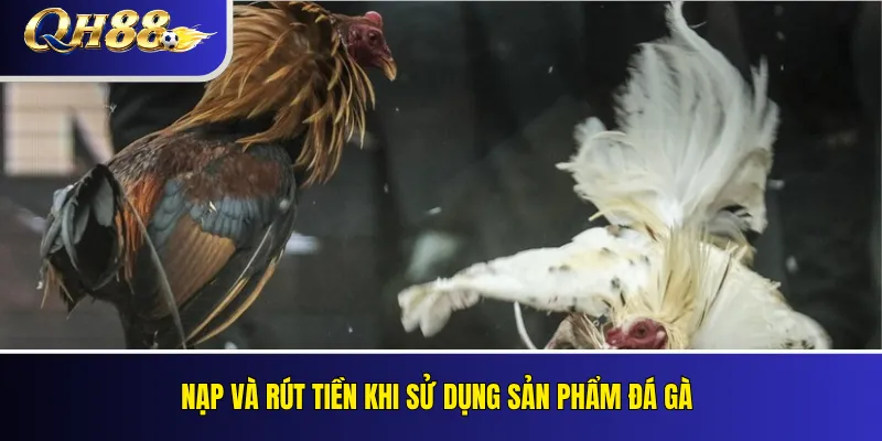 Nạp và rút tiền khi sử dụng sản phẩm đá gà