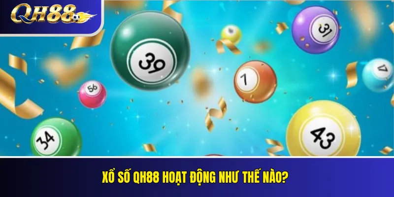 Xổ Số QH88 – Cách Đọc Bảng Và Quy Tắc Trả Thưởng 2 Xổ số QH88 hoạt động như thế nào?